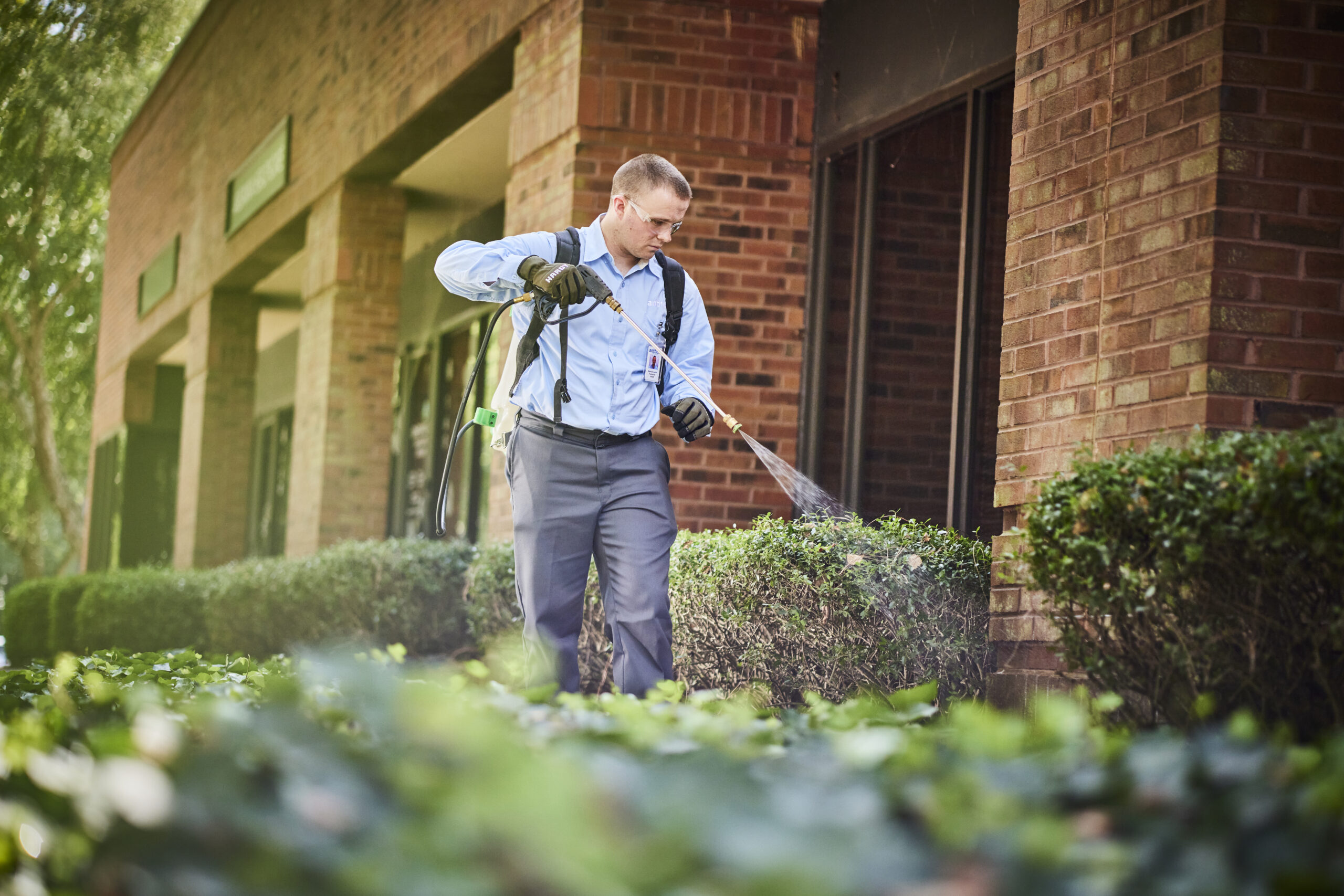 Anthem Pest technician providing exterior pest treatment