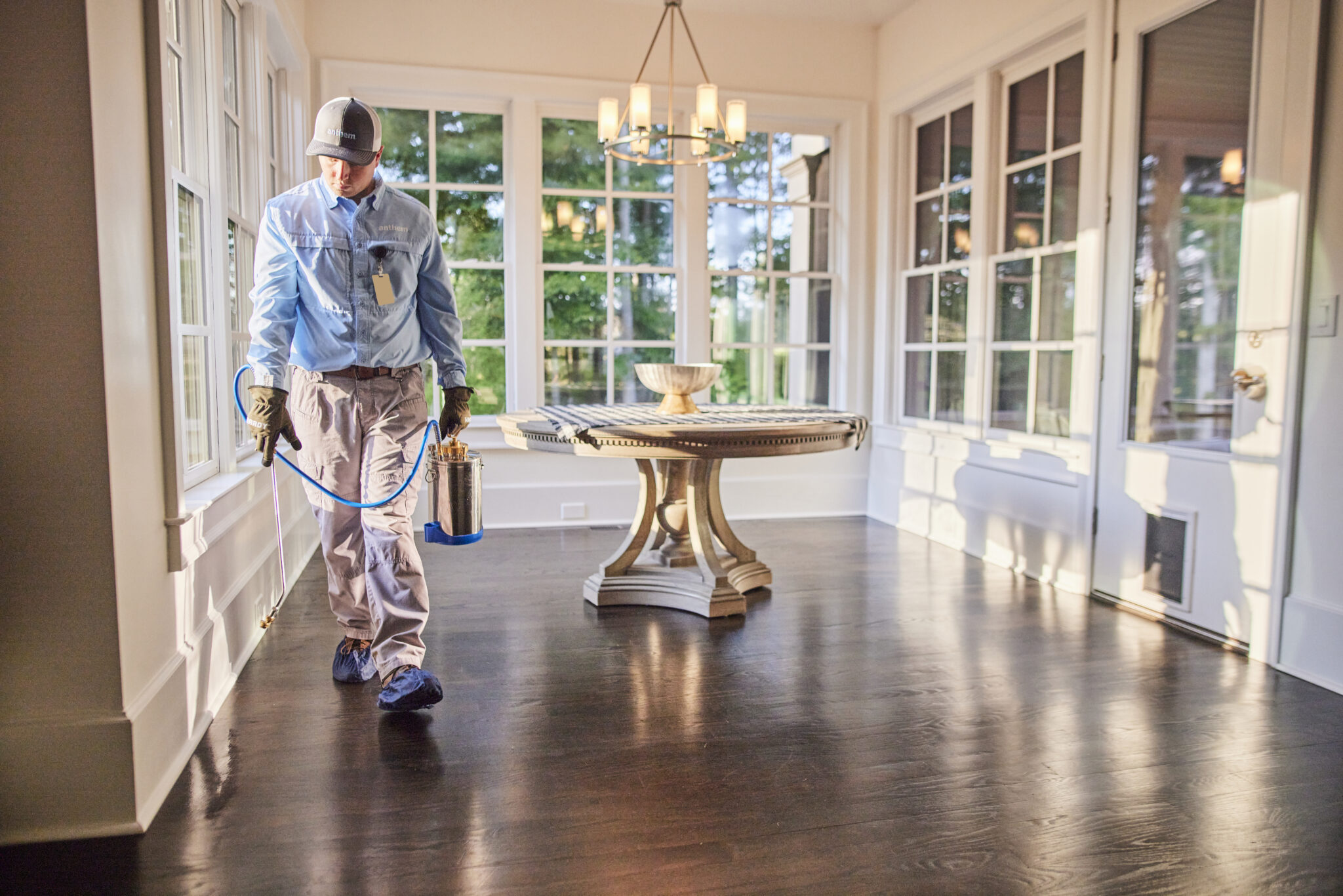 Anthem Pest Control: Atlanta's Trusted Pest Control Experts
