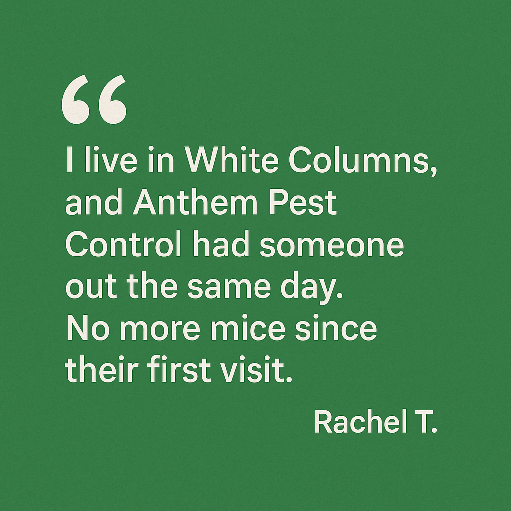 Testimonial from Rachel T. praising Anthem Pest Control for fast and effective mice removal in White Columns.