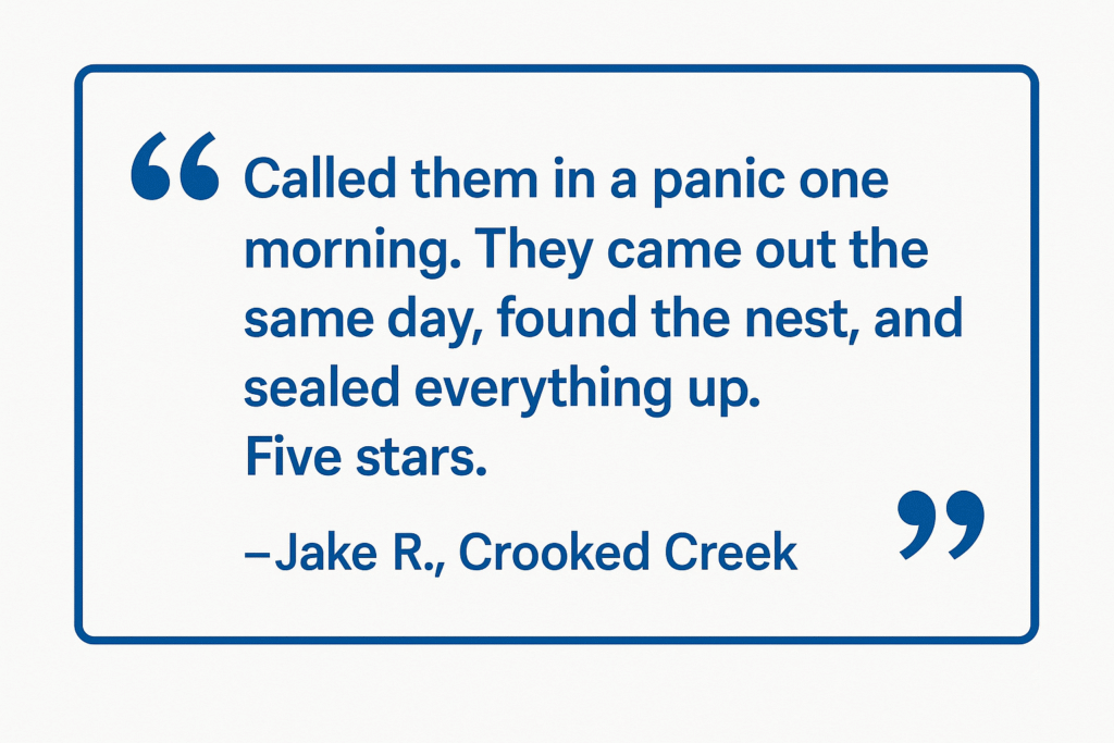 Customer review of pest control service in Crooked Creek by Anthem Pest