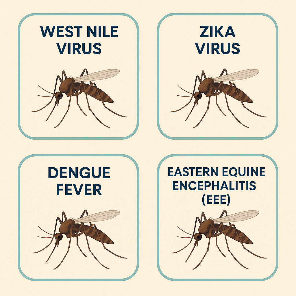 Infographic showing mosquito-borne diseases: West Nile Virus, Zika Virus, Dengue Fever, and Eastern Equine Encephalitis (EEE) with illustrations of mosquitoes