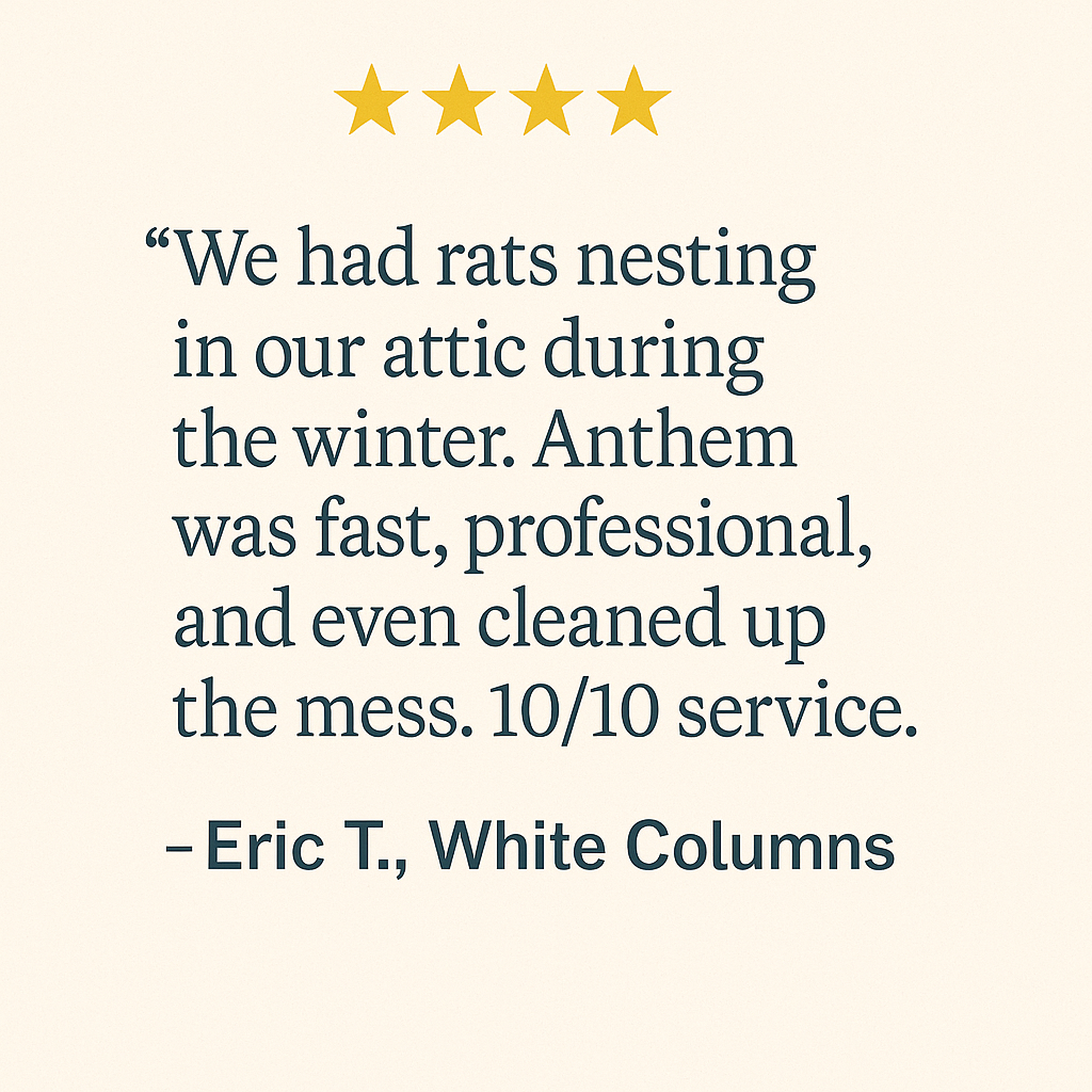 Rat Control Milton GA – Fast, Affordable Rodent Extermination 5 Rodent attic control testimonial from Eric T. in White Columns with 10/10 service rating.