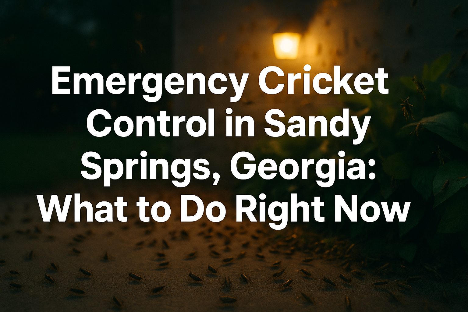 Emergency Cricket Control in Sandy Springs, Georgia