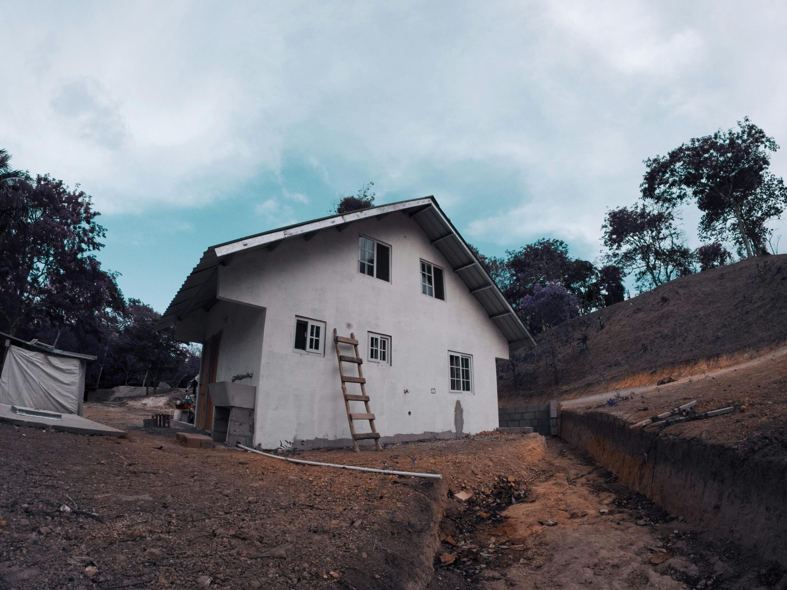 Millipede Exterminator Peachtree City, GA