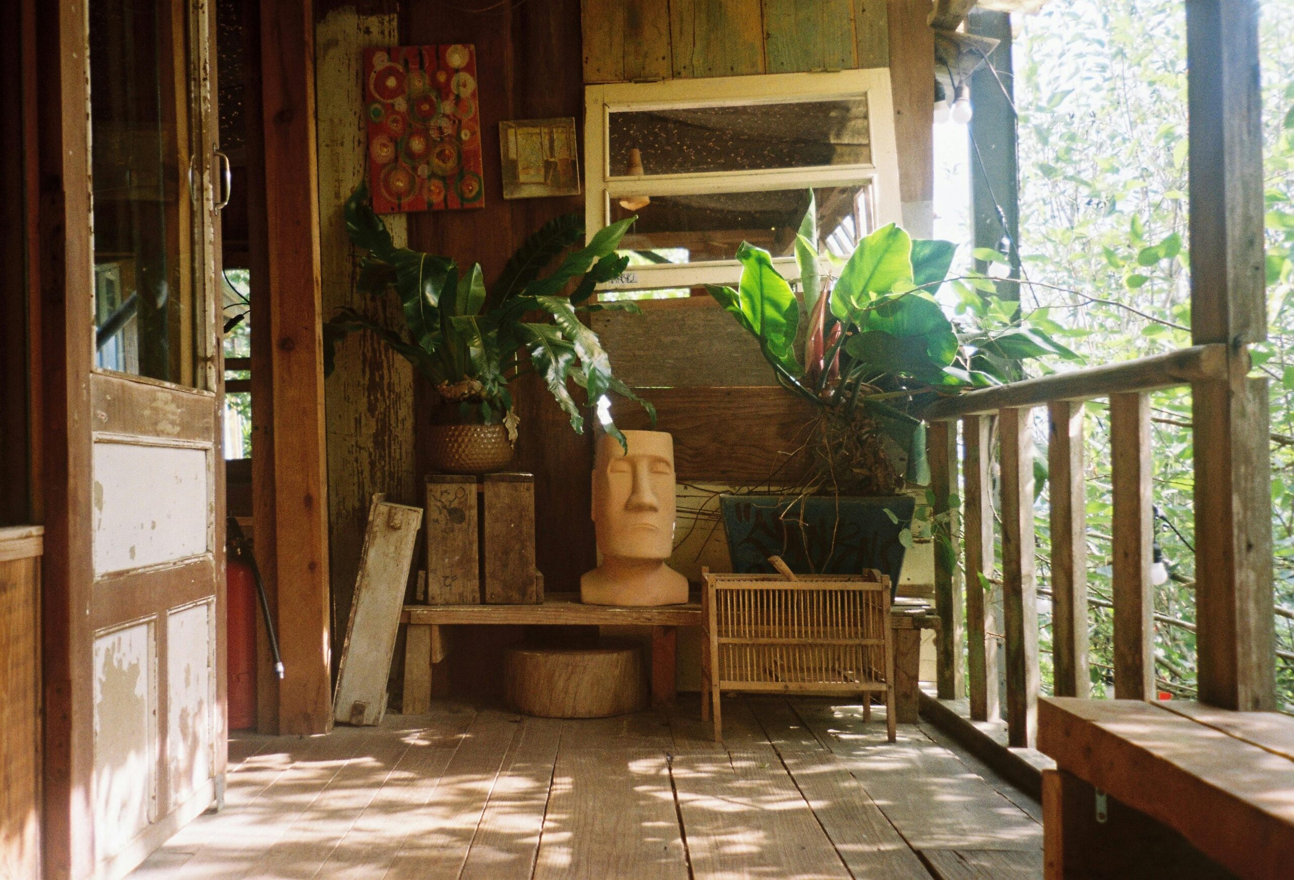 How much does ant control cost in Canton, Georgia?