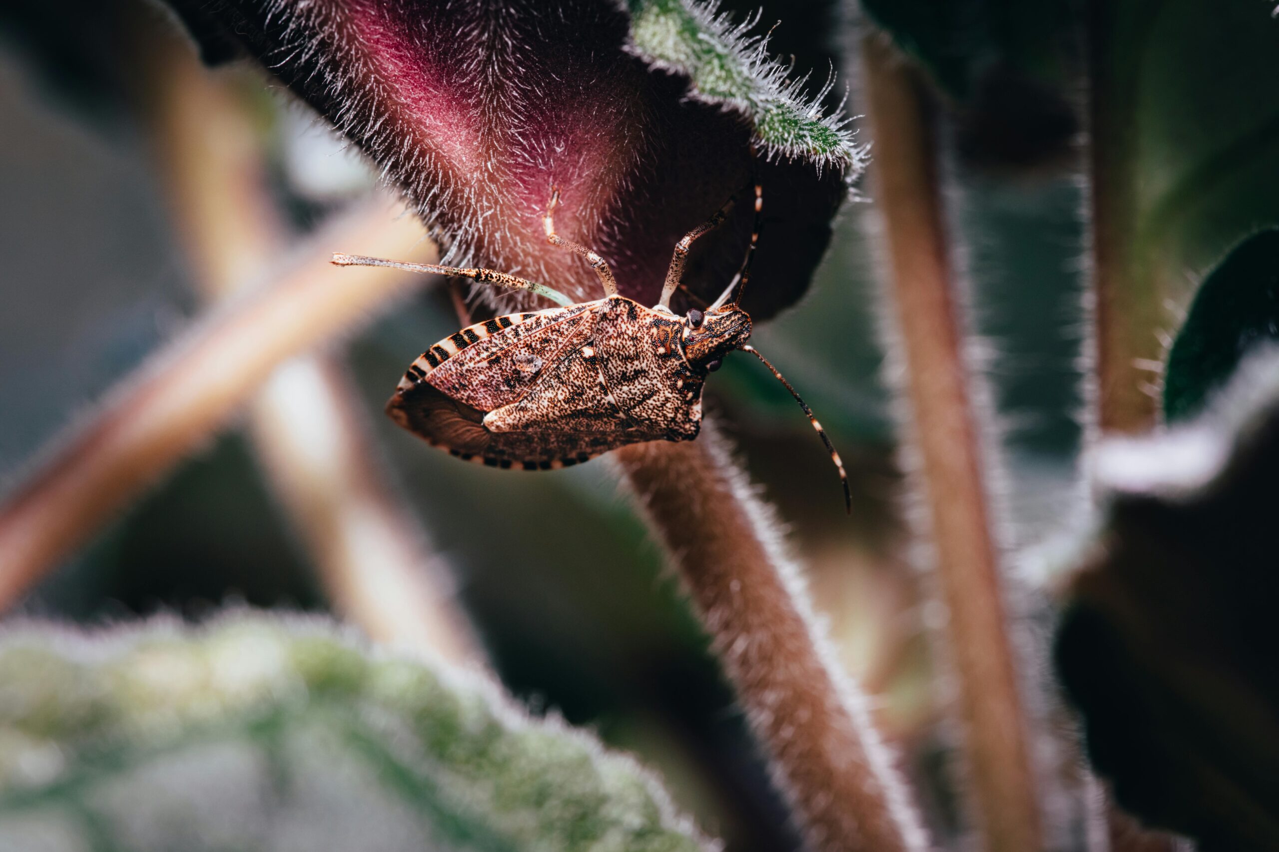 cover image cover 300 scaled