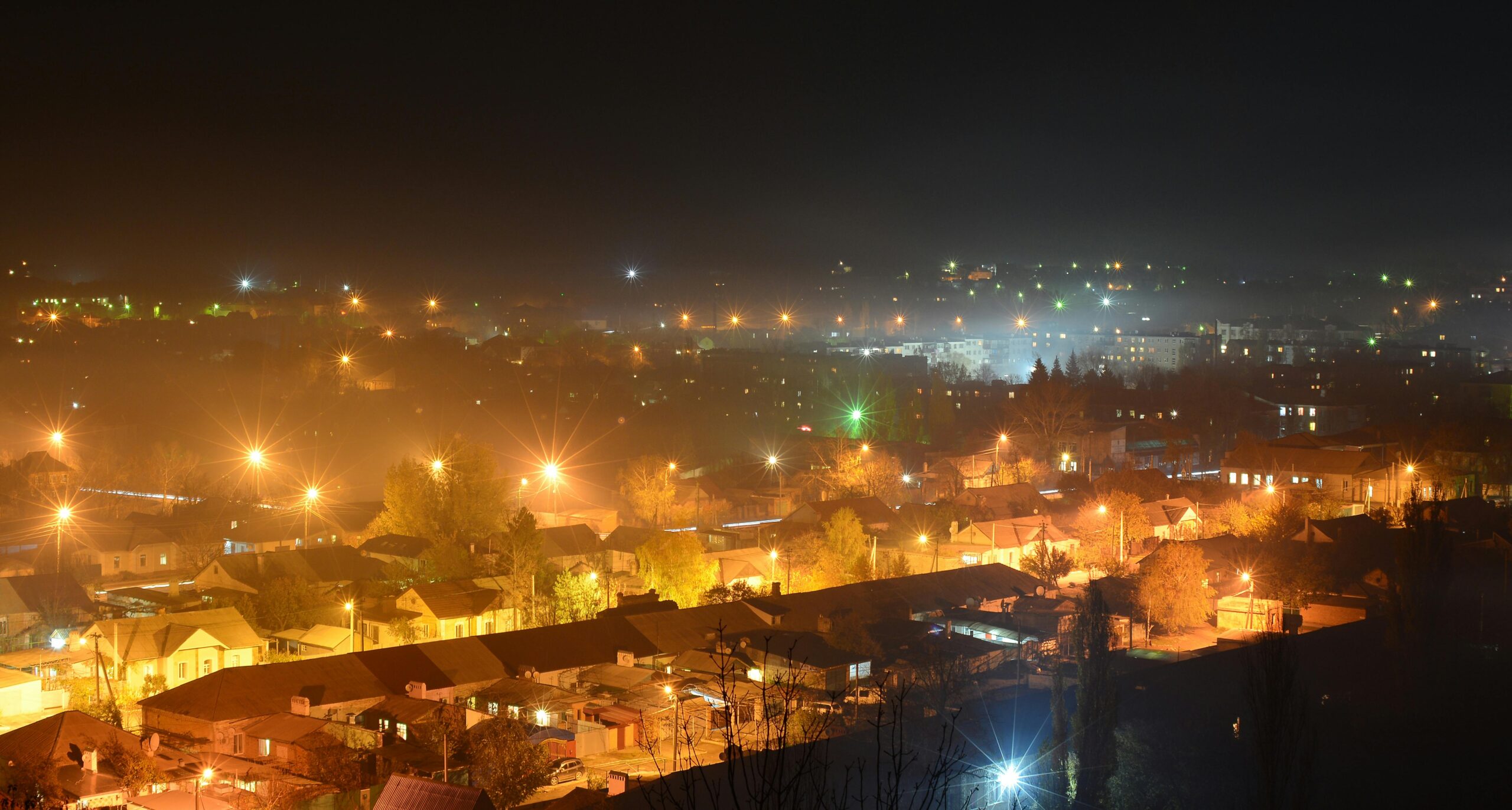 Emergency Moth Control Decatur, Georgia