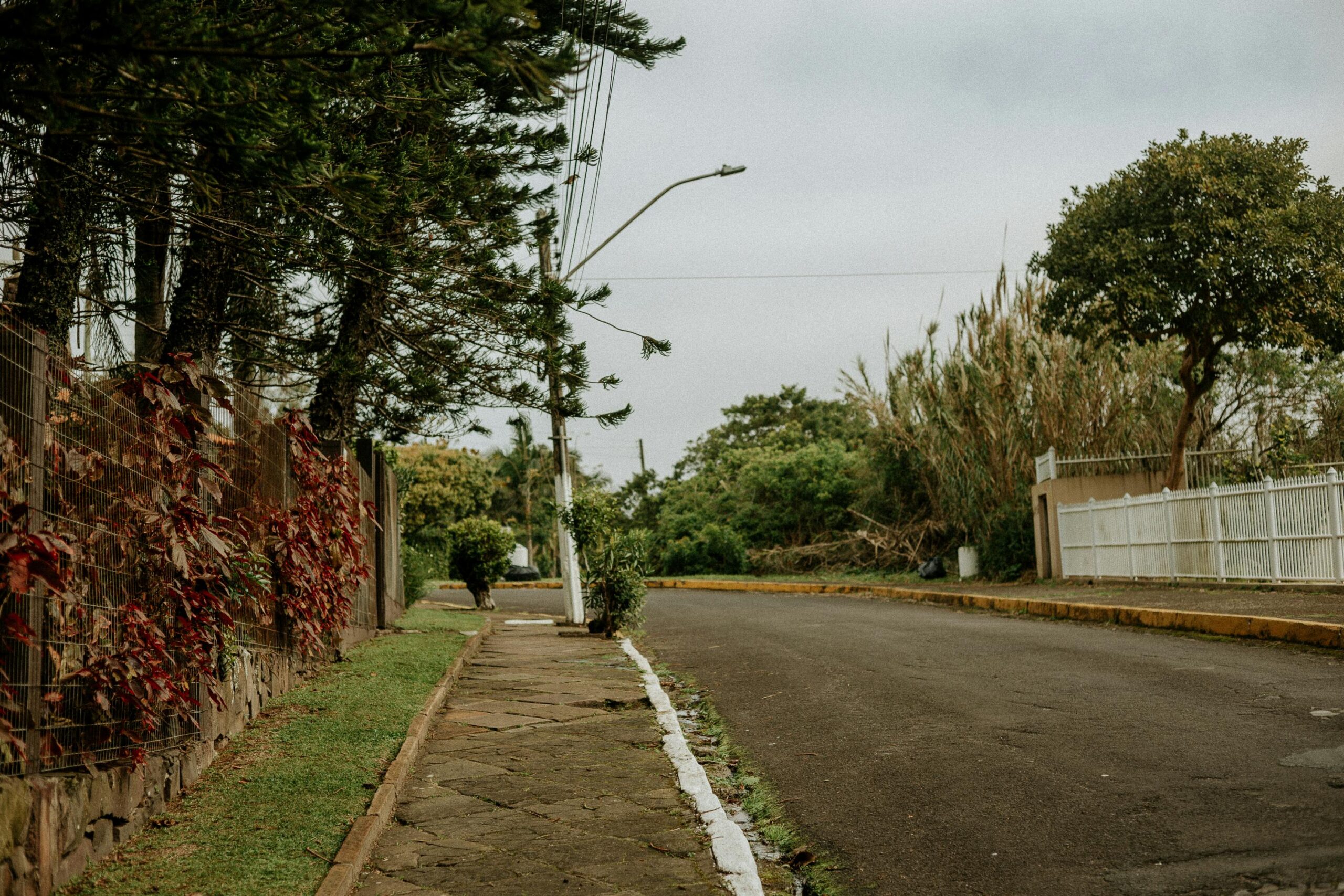 cover image cover 345 scaled