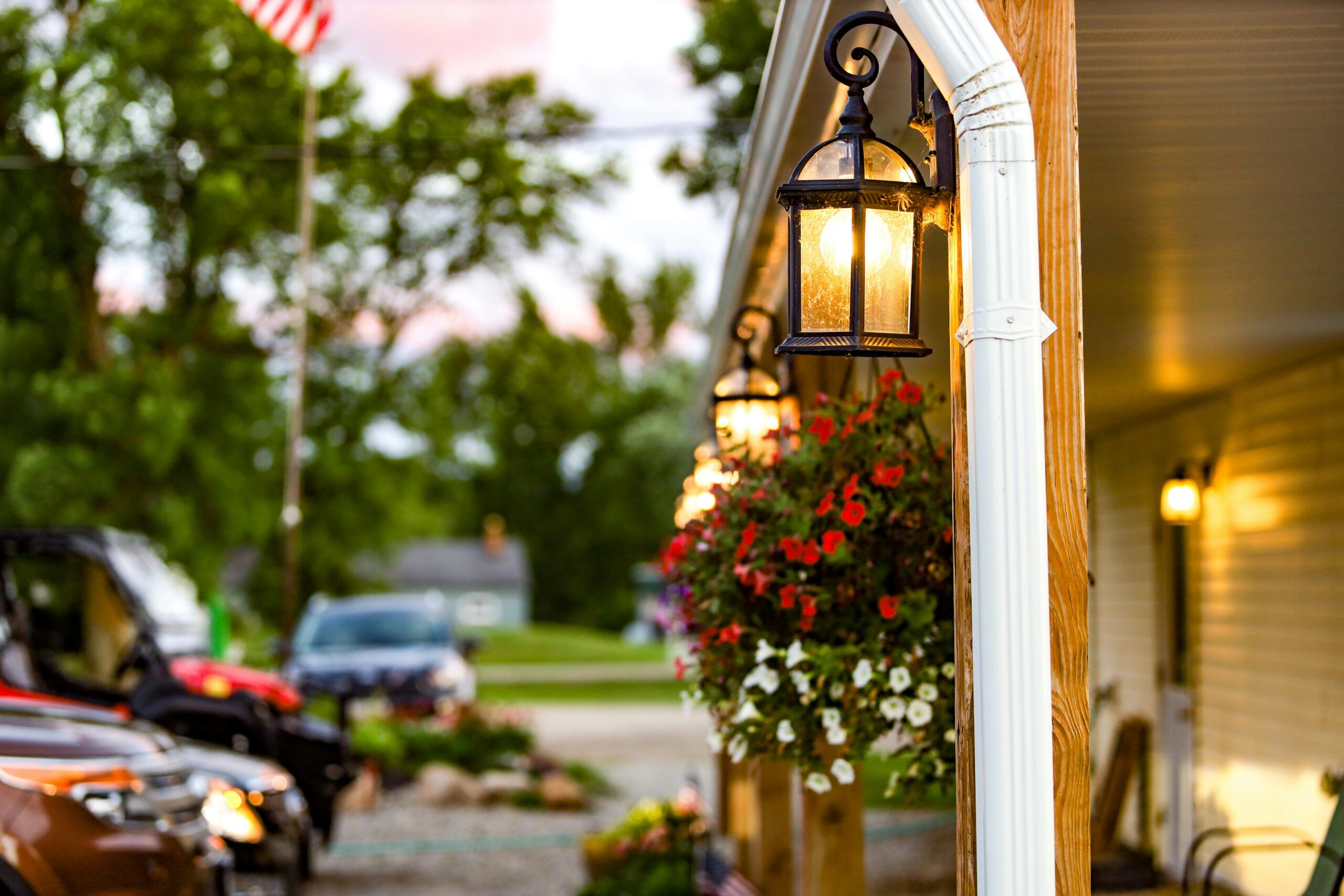 Emergency Earwig Control in Decatur, Georgia: What to Do Right Now