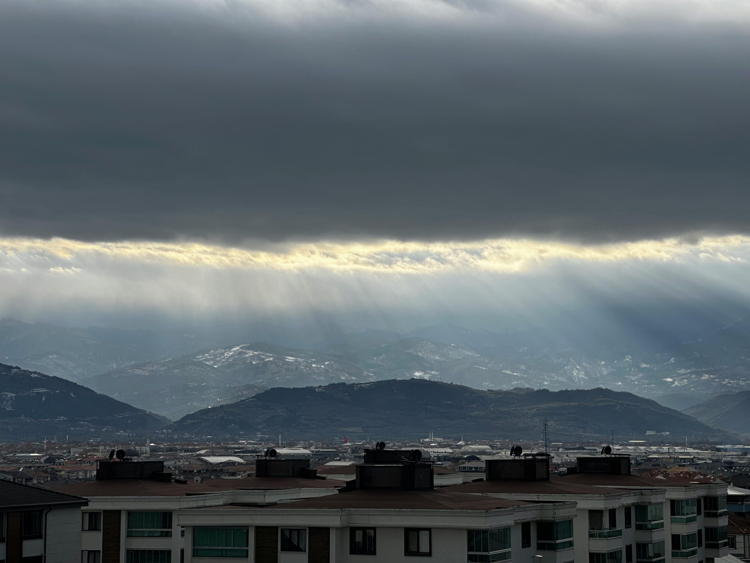 Find a Millipede Exterminator Near You in Suwanee, GA: Local Guide
