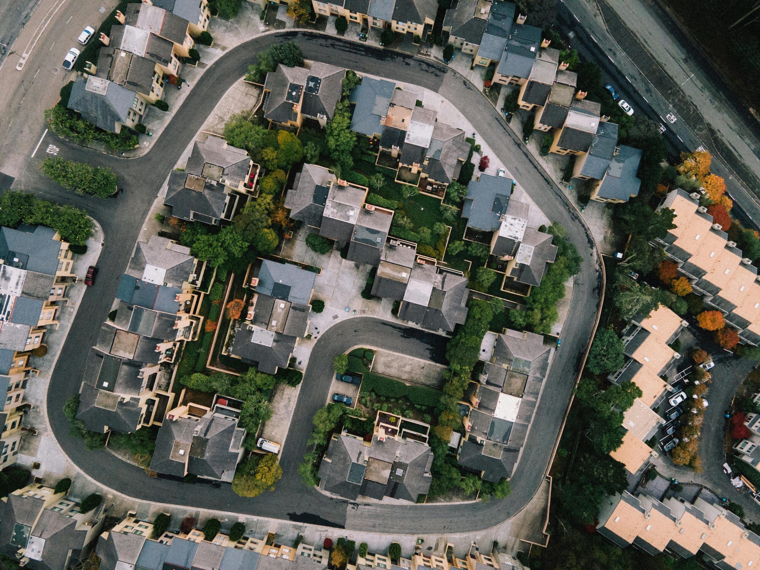 Stink Bug Control Druid Hills GA