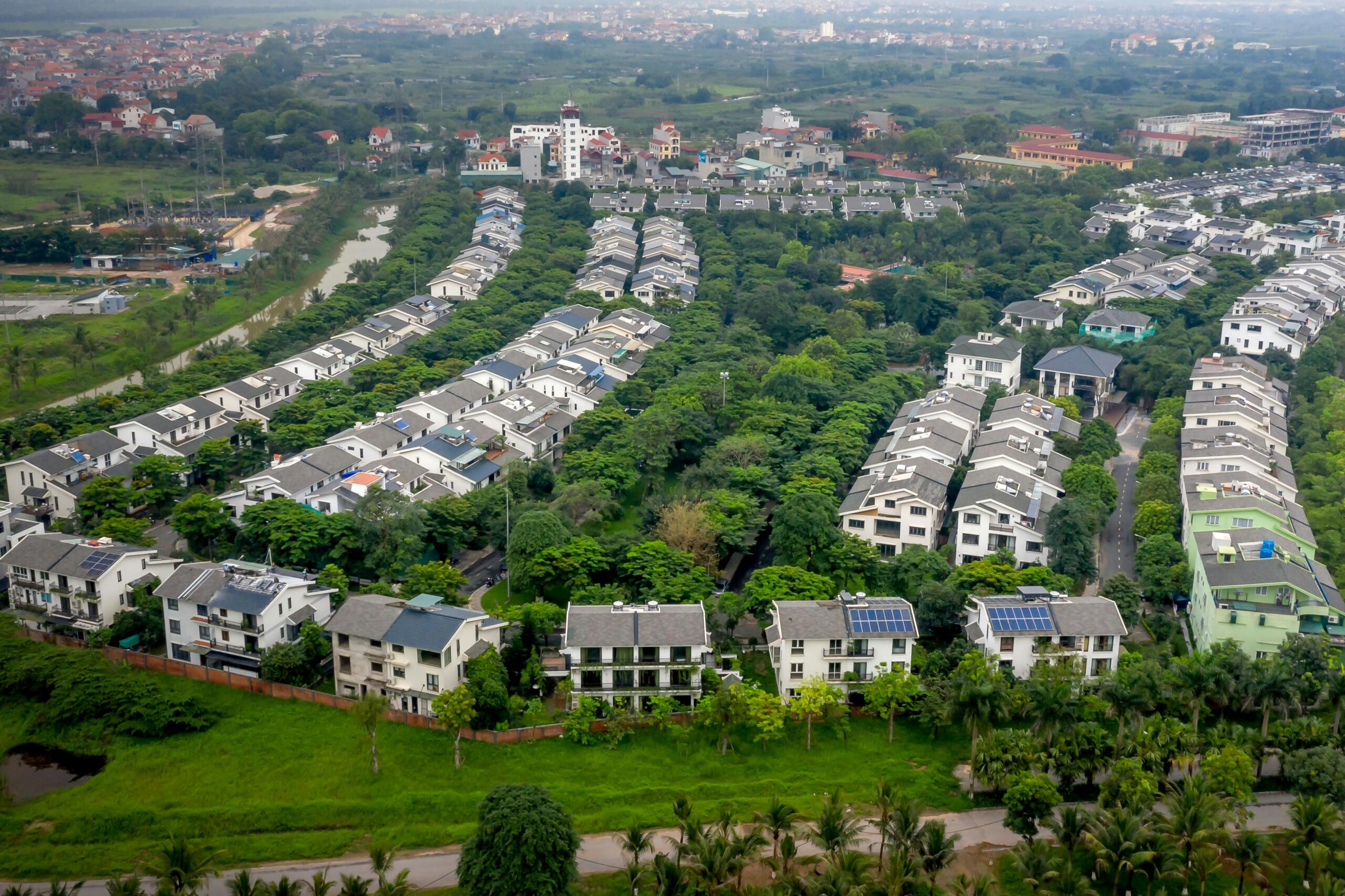 Emergency Termite Control Druid Hills, Georgia