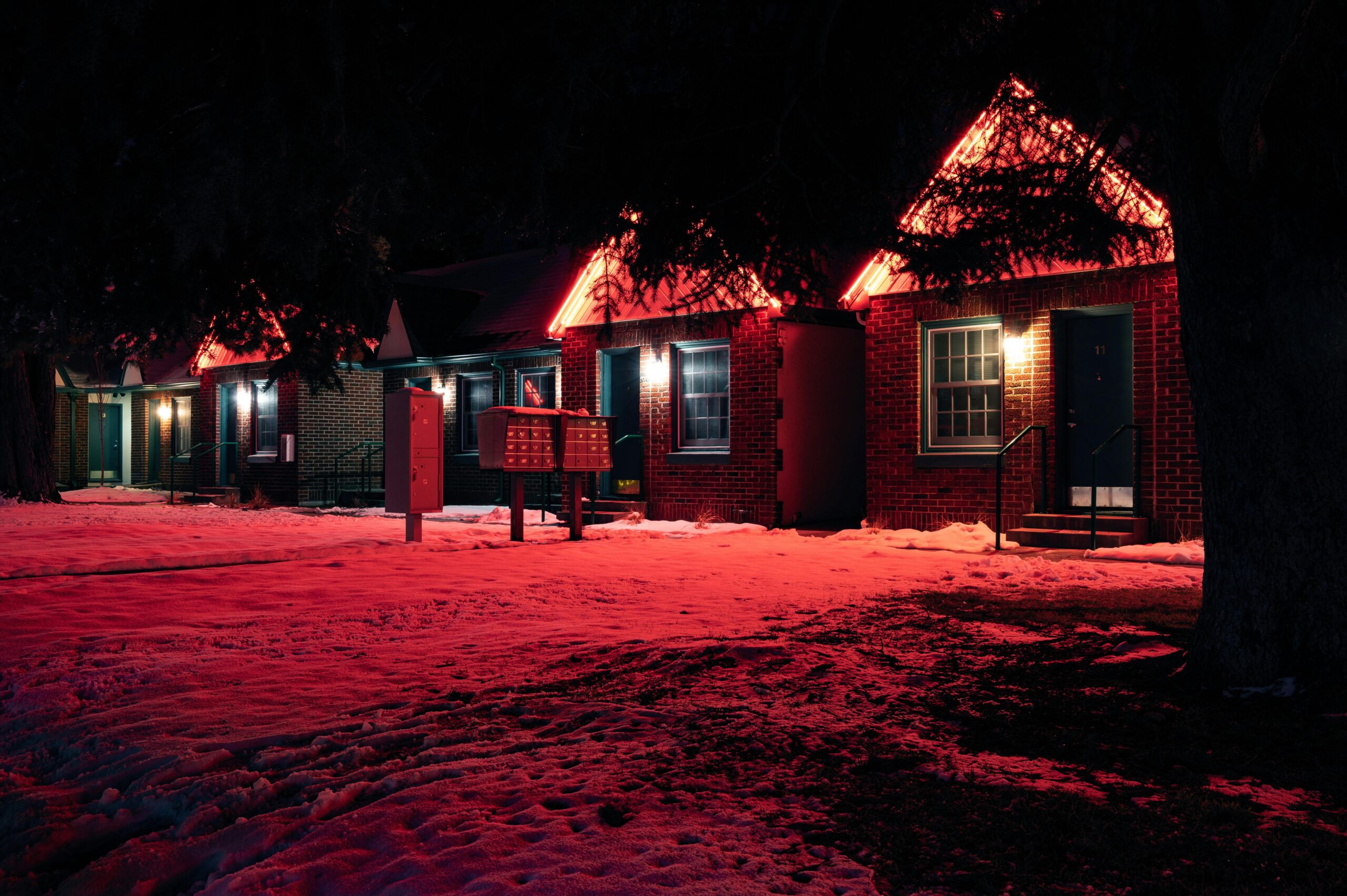 Emergency Earwig Control in Peachtree City, Georgia: What to Do Right Now