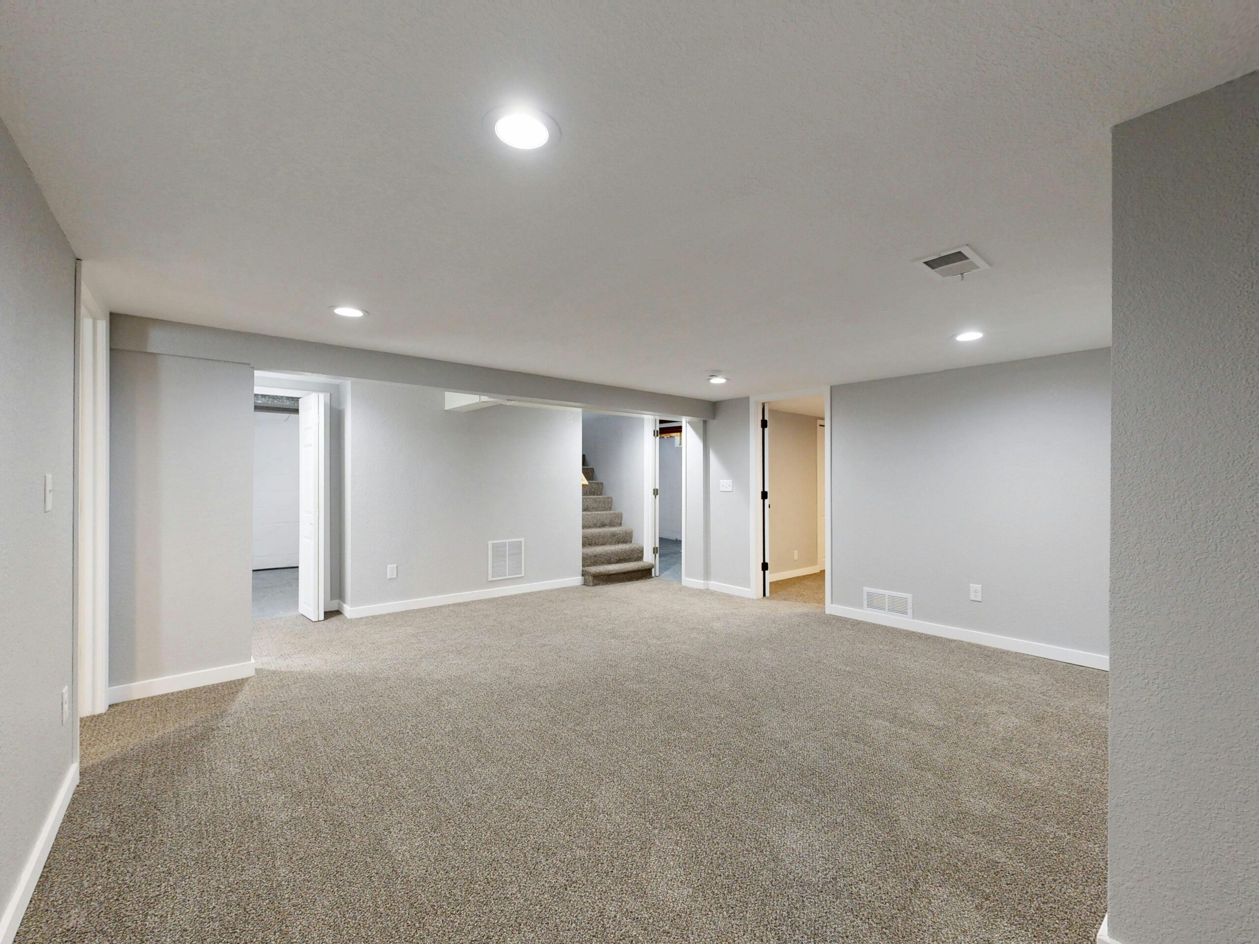 Emergency Centipede Control in Peachtree City, Georgia: What to Do Right Now