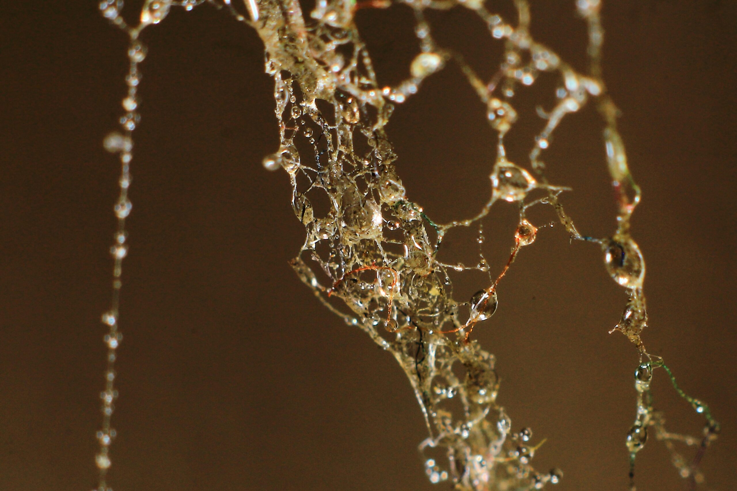 cover image cover 69 scaled