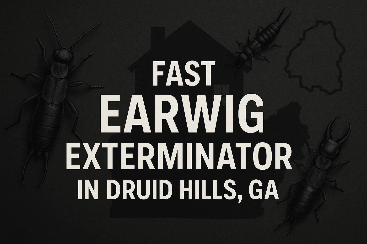 cover image cover 13