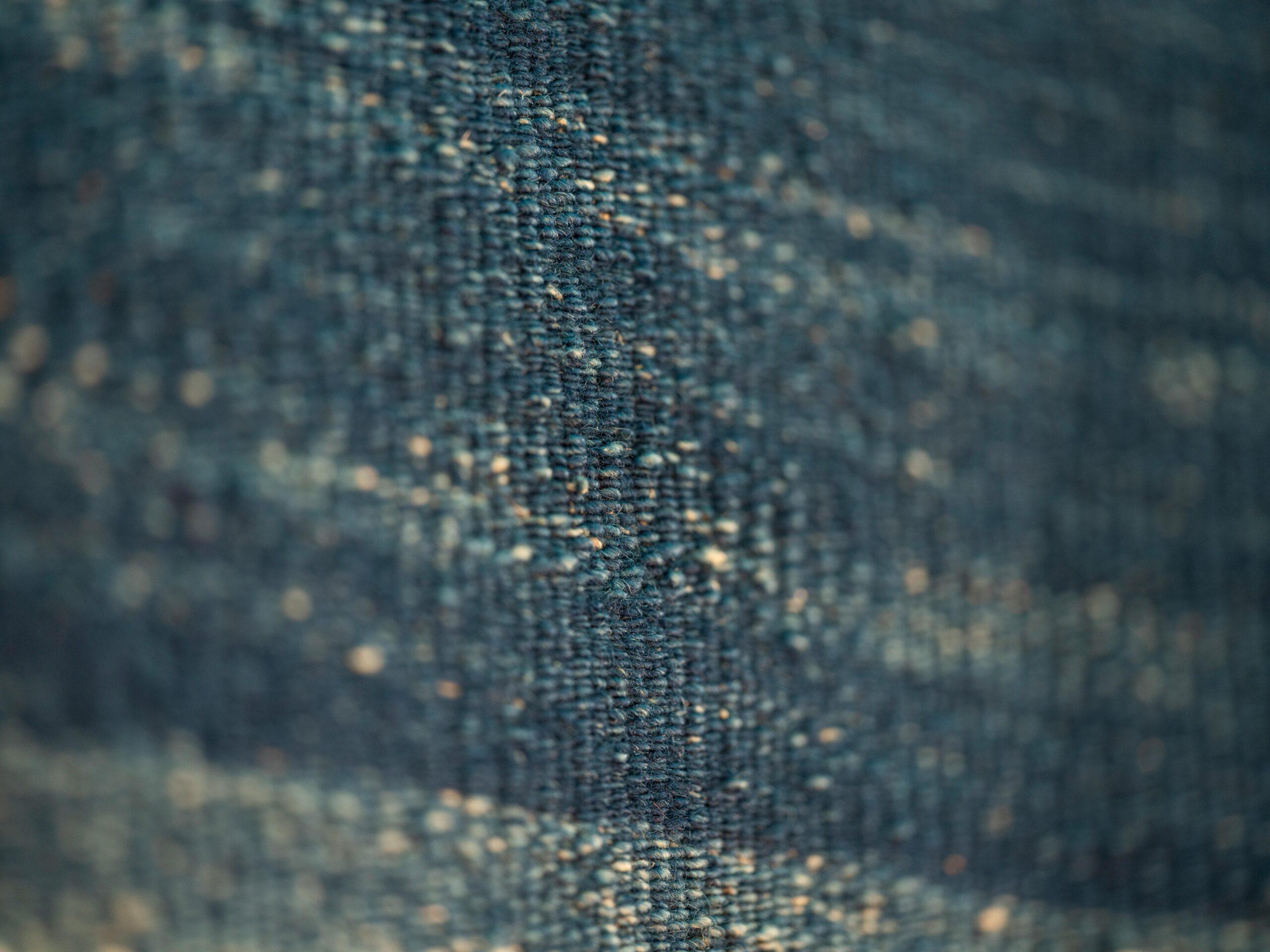 cover image cover 24 scaled