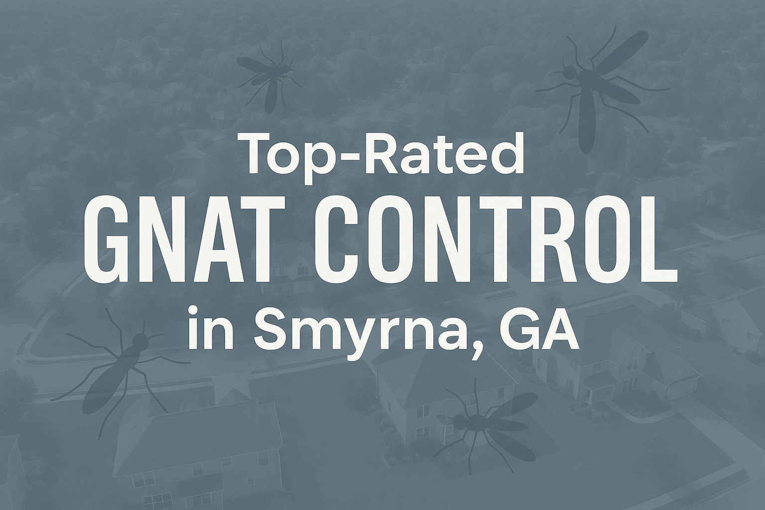 Top-Rated Gnat Control in Smyrna, Georgia: Cost, Treatment & Tips