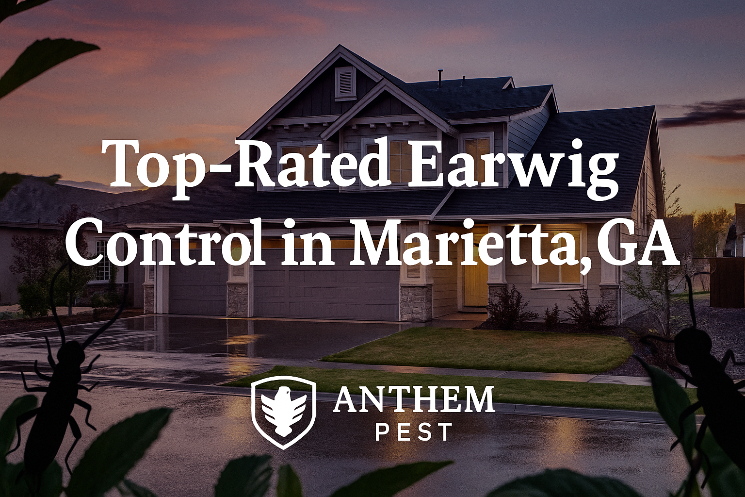 Top-Rated Earwig Control in Marietta, Georgia: Cost, Treatment & Tips